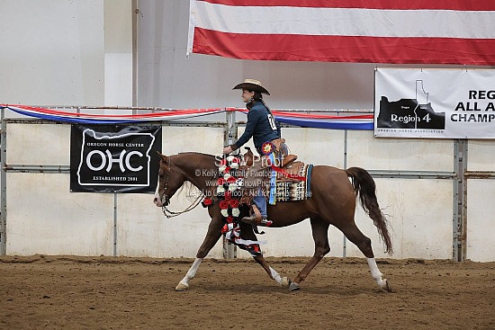0435 Arabian AOTR Ranch Rail Derby