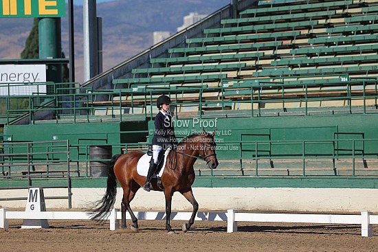 Dressage Tests (By Request)