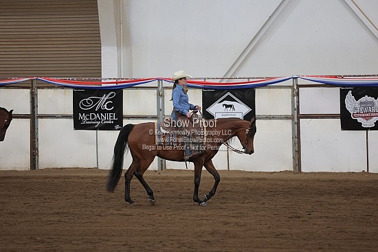 0550 Region 4 Arabian Ranch Horse Rail Pleasure AATR 19-49
