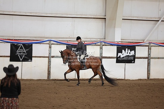0457 Region HA Hunter Pleasure Futurity