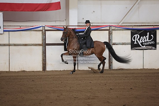 0516 Region 4 HA Country English Pleasure AAOTR