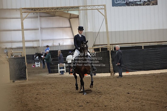 0486 Region 4 Arabian English Show Hack ATR