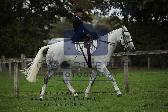 Saturday Garth South at Newbury Show