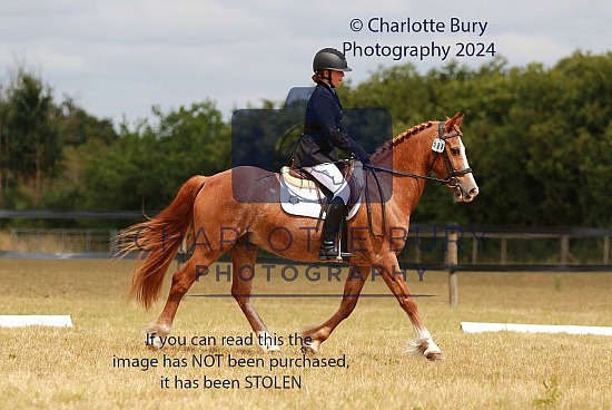 29.06.25 Area 12 Dressage 2025