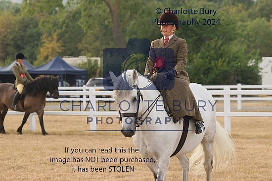 Malvern Highland Pony Show 2026