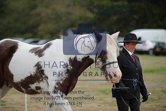 27.09.2026 Mortimer Riding Club In Hand Show