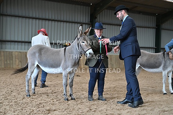 Donkey Breed Society National Show 2026
