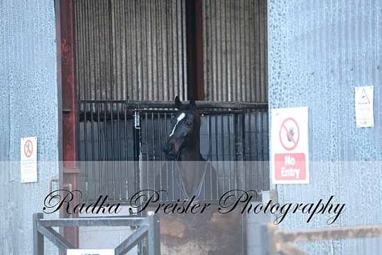 Tipperary Equestrian Centre - Interschool's 25.01.2026