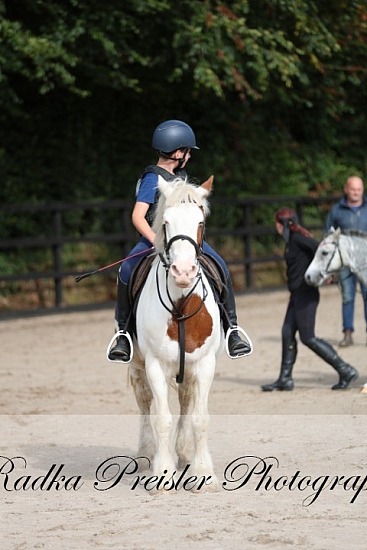 Sceilig - Autumn Showjumping League 07.09.2025