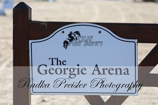 NIF Working Hunter Qualifier at Sceilig 14.03.2026