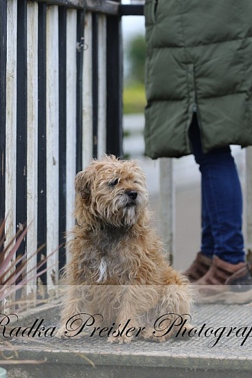  Sport Pony Challenge at Raheen Na Gun 07.03.2026