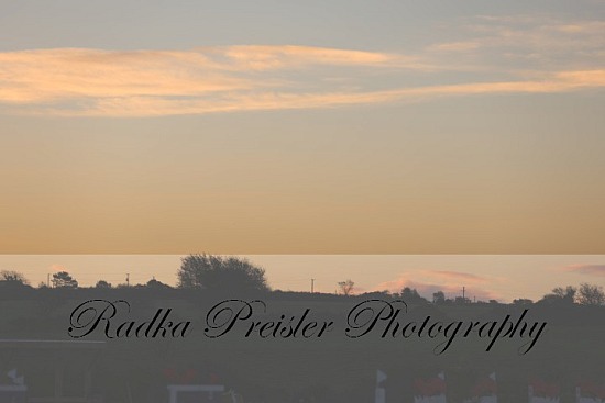 Sceilig - National Grand Prix Show 25.10.2025