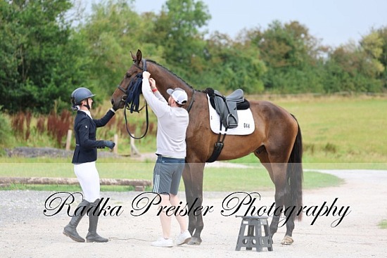 Ballindenisk - Dressage South Munster Summer Show 16.08.2025