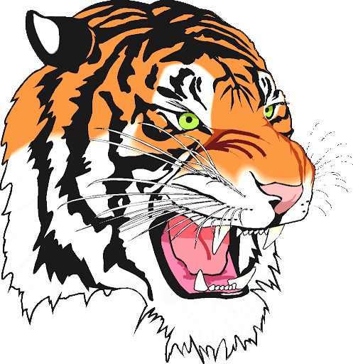 Shelby Band Fall 2025