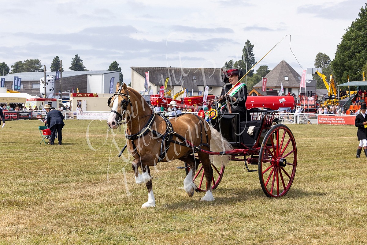 Royal Welsh Show 2026