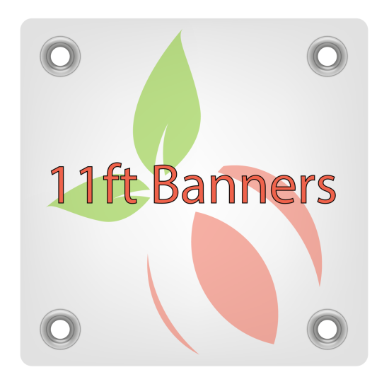 11ft