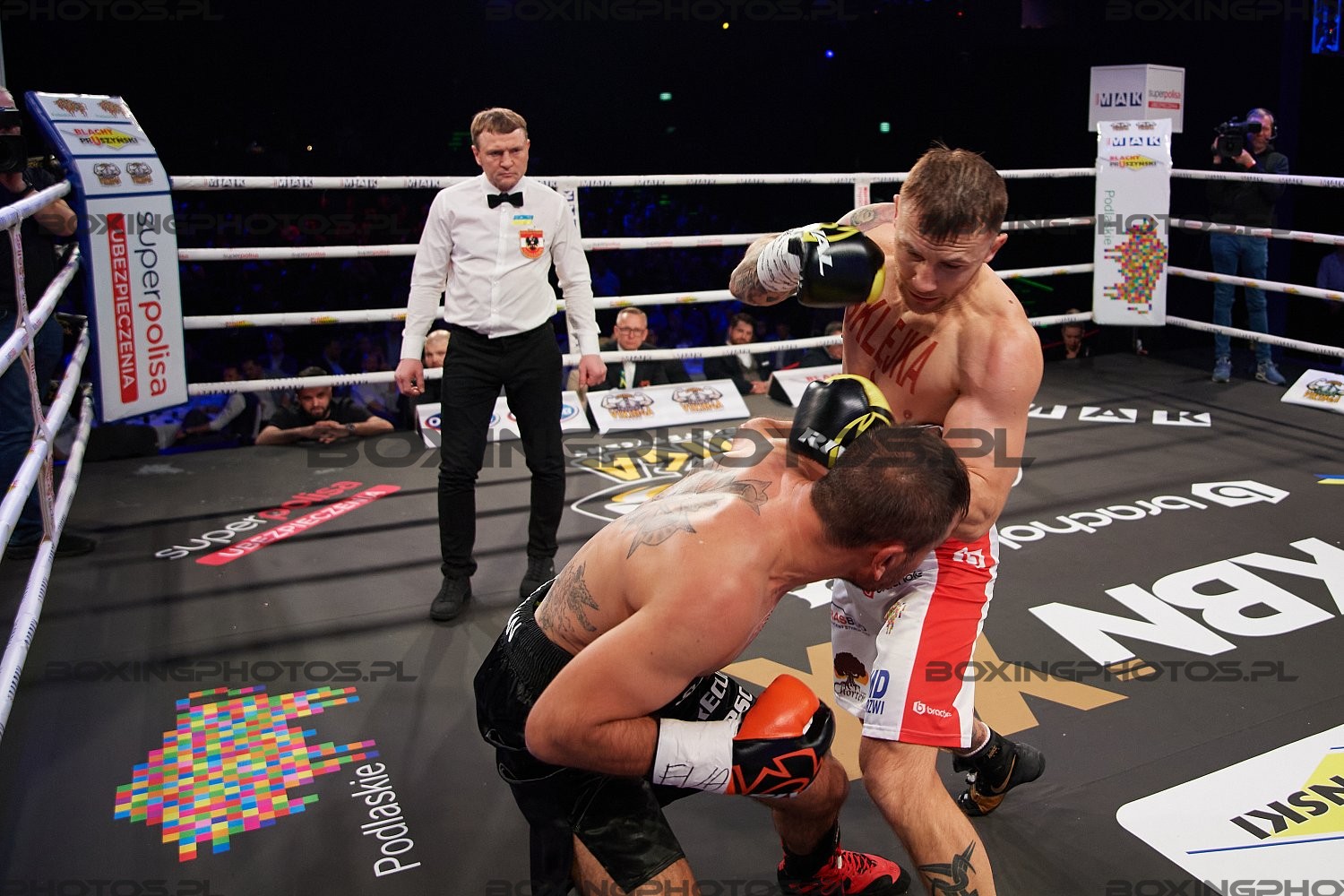 Kamil Szeremeta, Sasha Yengoyan
