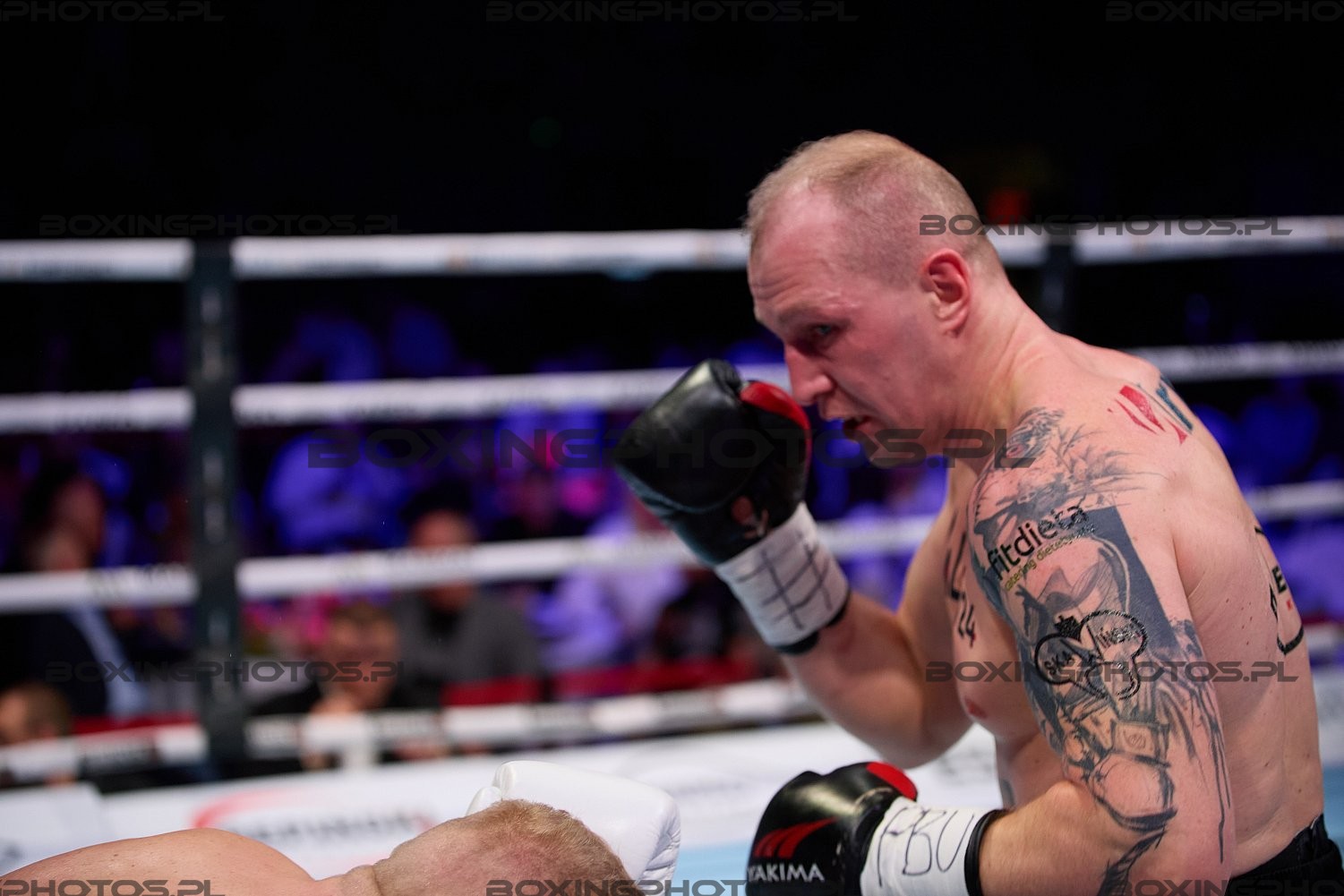 Nikodem Jeżewski, Nikodem Jezewski, Adam Kolarik, RBN 18, Rocky Boxing Night, Koszalin, 2024