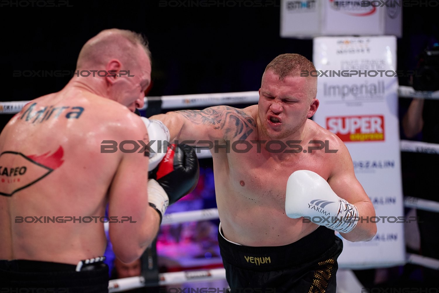 Nikodem Jeżewski, Nikodem Jezewski, Adam Kolarik, RBN 18, Rocky Boxing Night, Koszalin, 2024