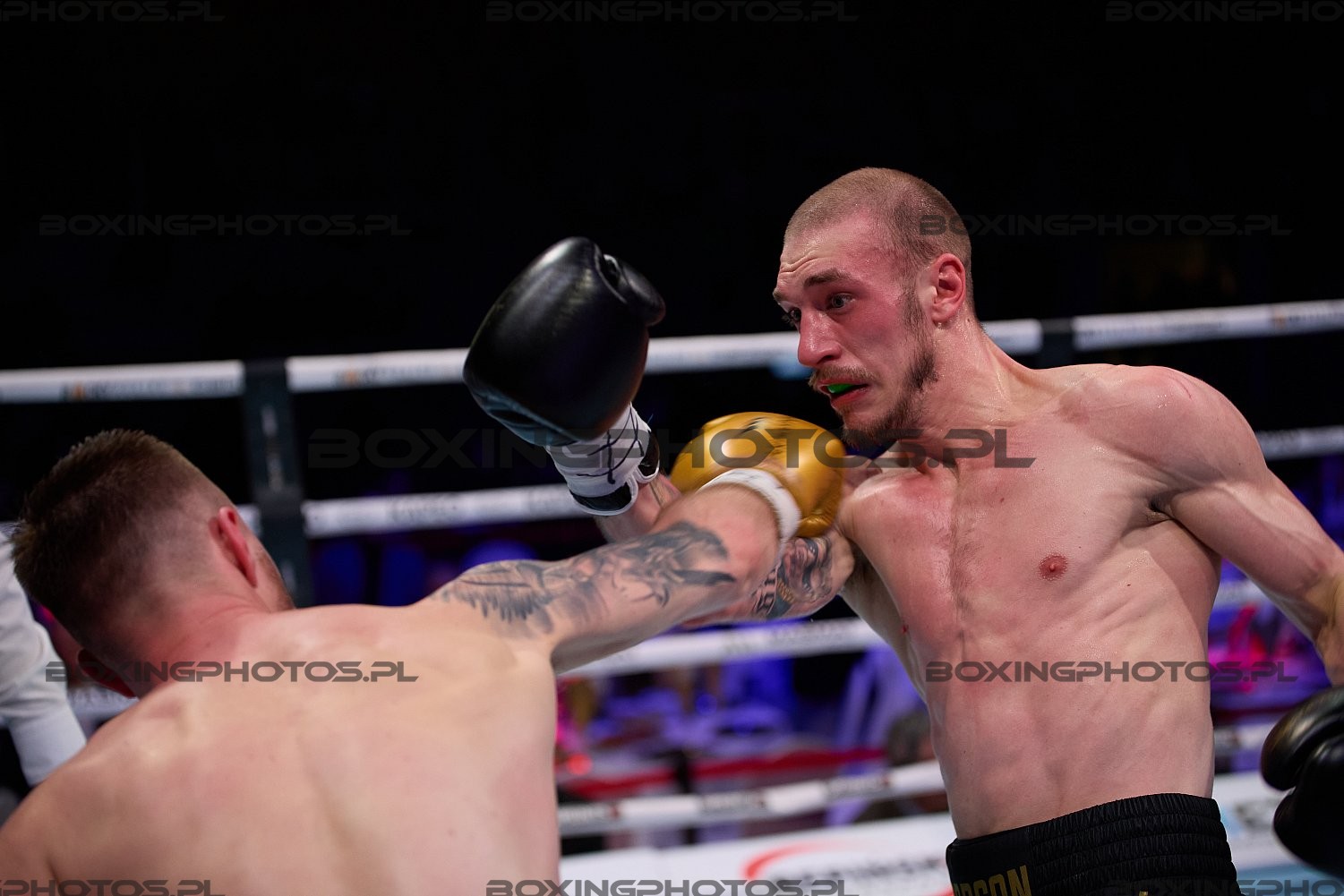 Hubert Benkowski, Damian Haus, Rocky Boxing Night 18, 2024