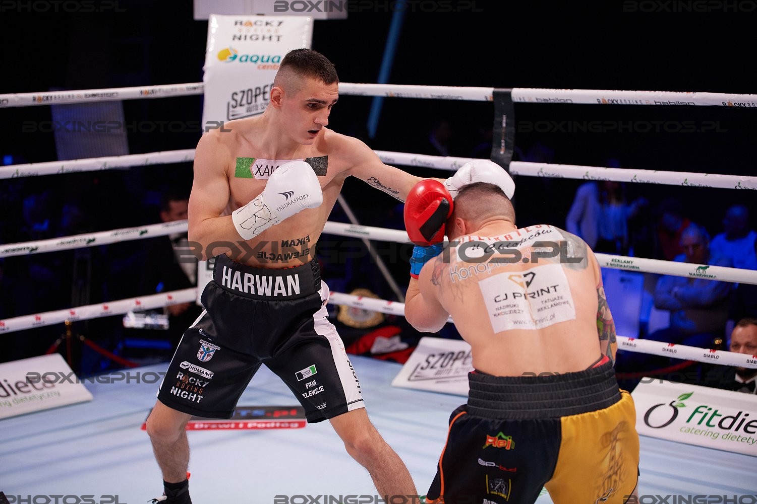 RBN 15, Rock Boxing Night, Stężyca, Stezyca, Rocky Boxing Promotion, 2023, Dominik Harwankowski, Piotr Gudel,