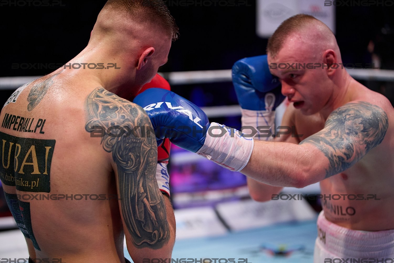 Kajetan Kalinowski, Łukasz Stanioch, Lukasz Stanioch, RBN 18, Rocky Boxing Night, Koszalin, 2024