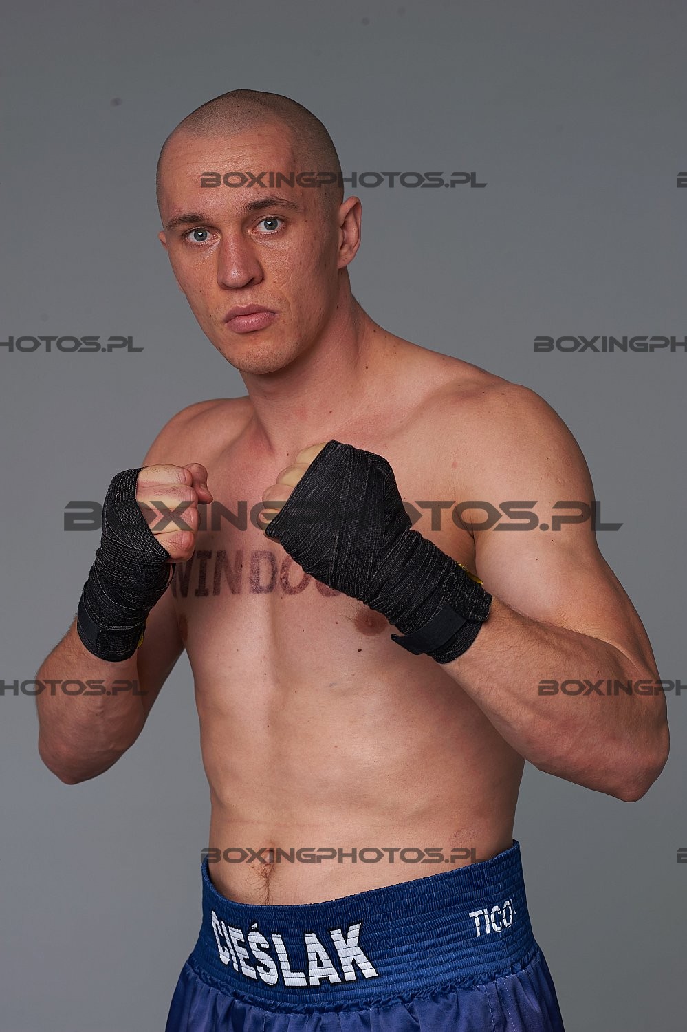 Michał Cieślak, 2016, Studio