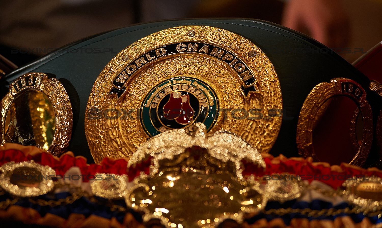 IBO World Champion Belt, IBO pas, 2012