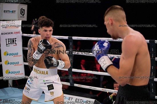 Filip Wachała, Wachala, Frantisek Horvat, Rocky Boxing Night, RBN 24, Kościerzyna, Koscierzyna, 2026