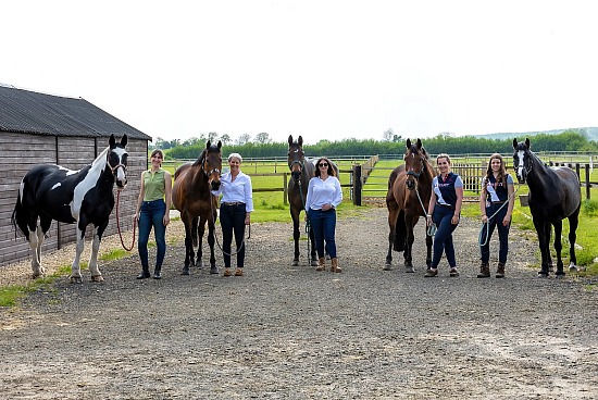 Equine - Yard Group - 3-5 horses. 