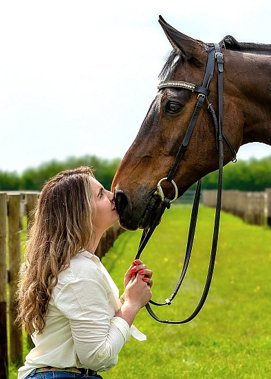 Equine Portraiture - Standard