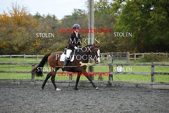 BD - (P-AM) - Swallowfield Equestrian 26th October 2025