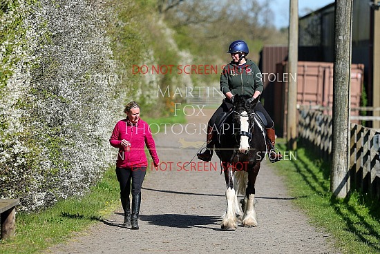 Pick & Mix Training Camp - Swallowfield Equestrian - 6th April 2026