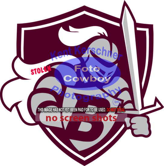 Buhler Spirit Night  5298