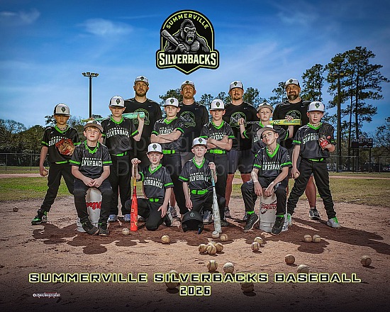 Summerville Silverbacks Baseball