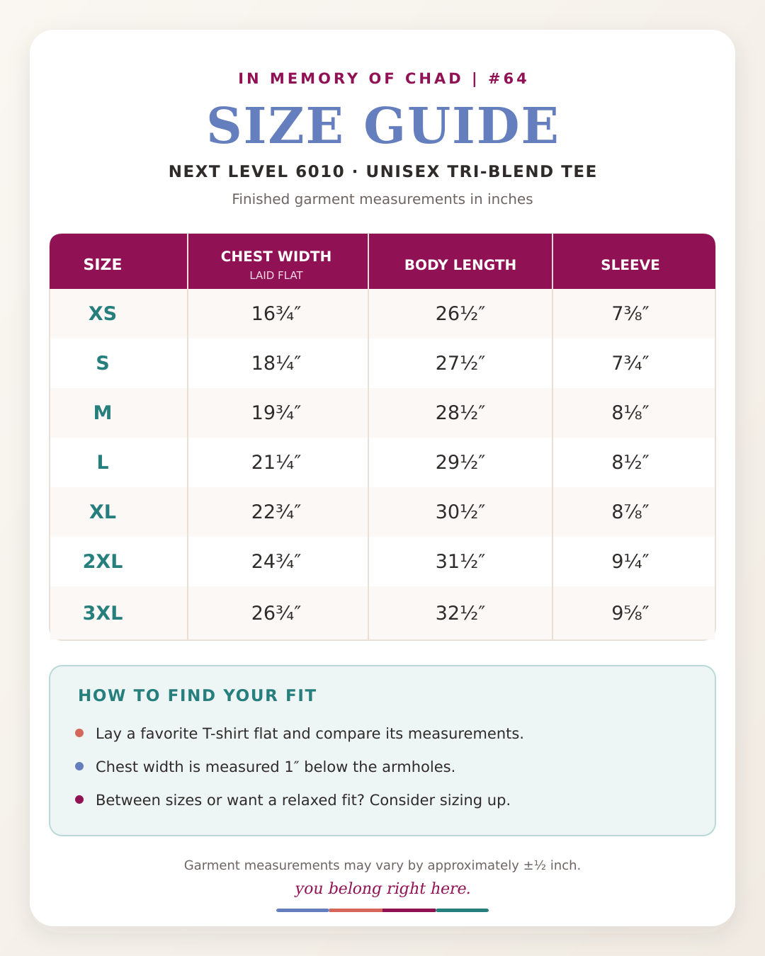 STAY. You Belong Right Here | Next-Level-6010-Size-Guide.png