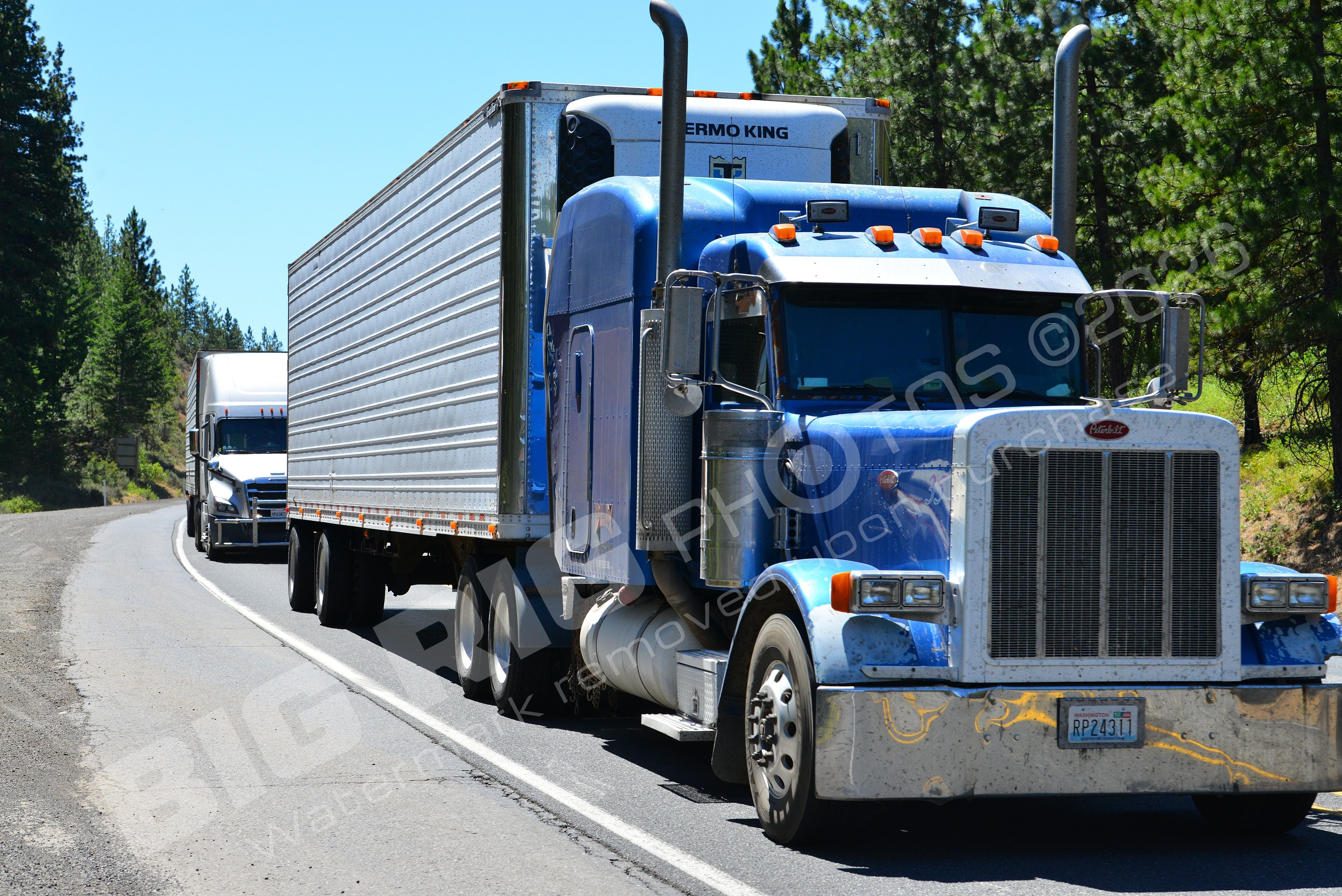 BBB, Peterbilt, Reefer, rp24311