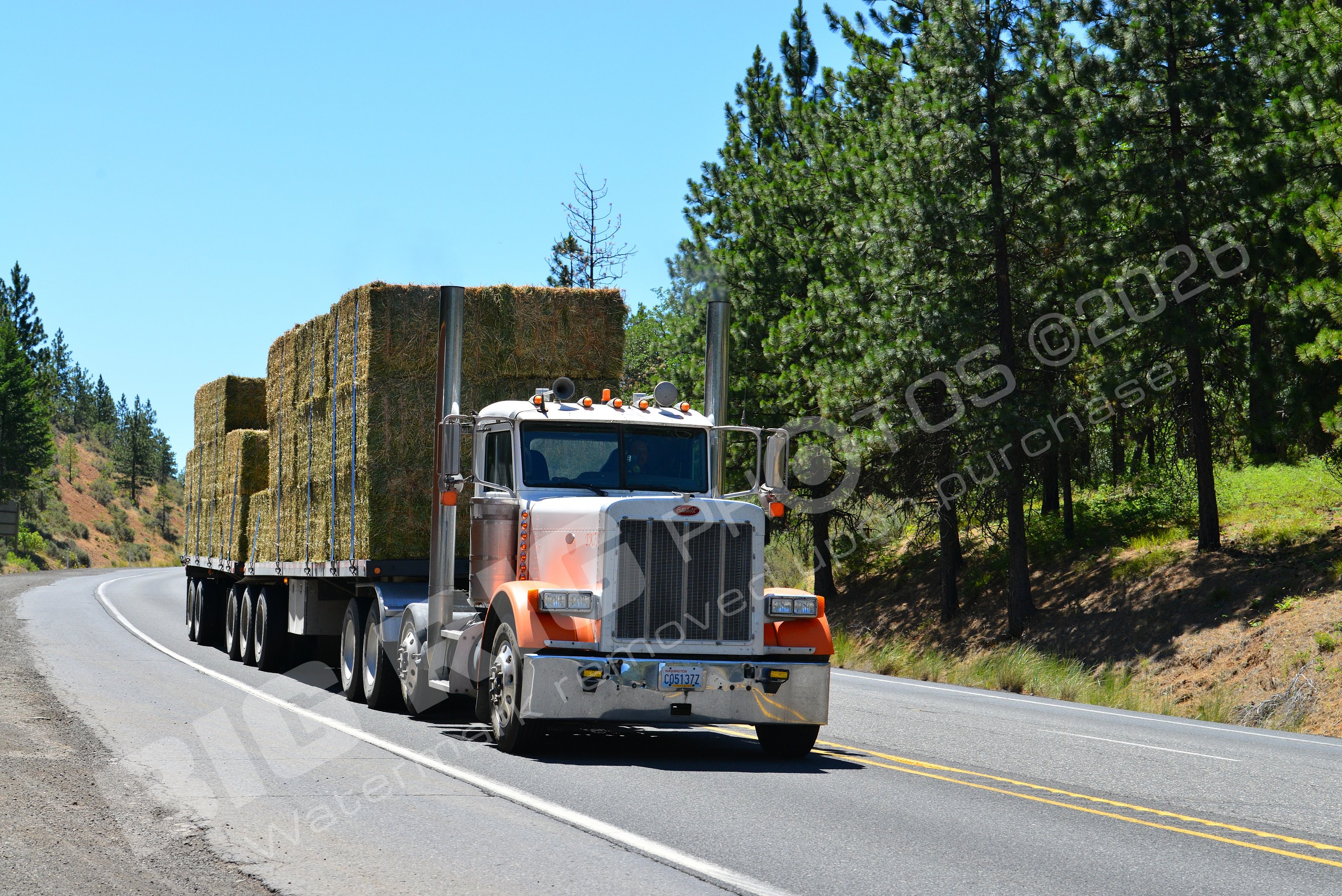2303, Agriculture, BBB, Peterbilt, c05137z