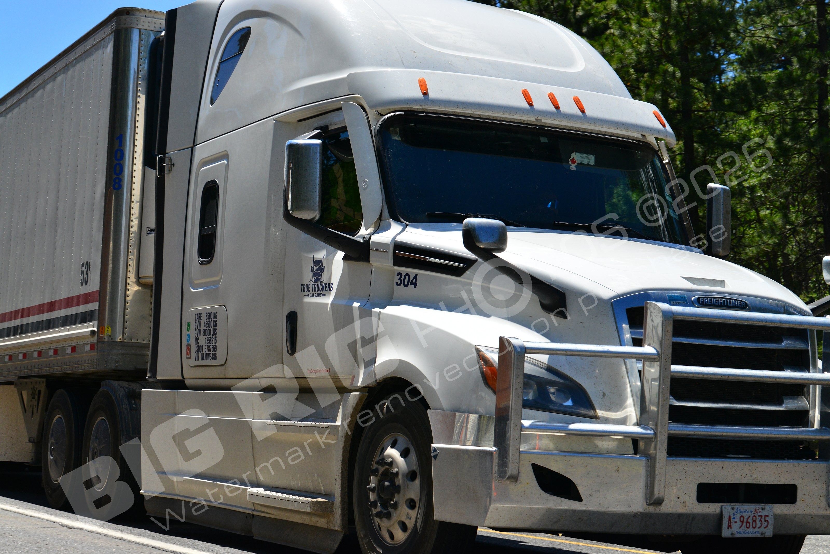 304, BBB, Dry Van, Freightliner Trucks, T, True Truckers, a96835