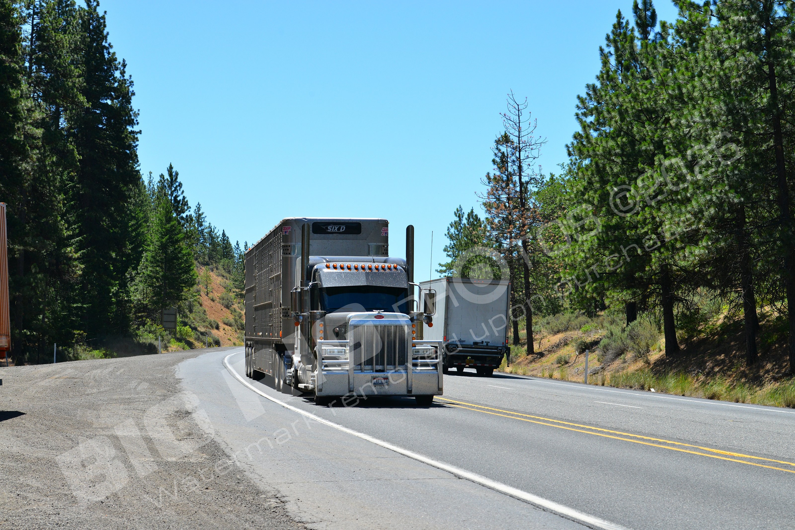 29, Agriculture, BBB, Dry Van, Peterbilt, Six D, Six D 2, bi3217