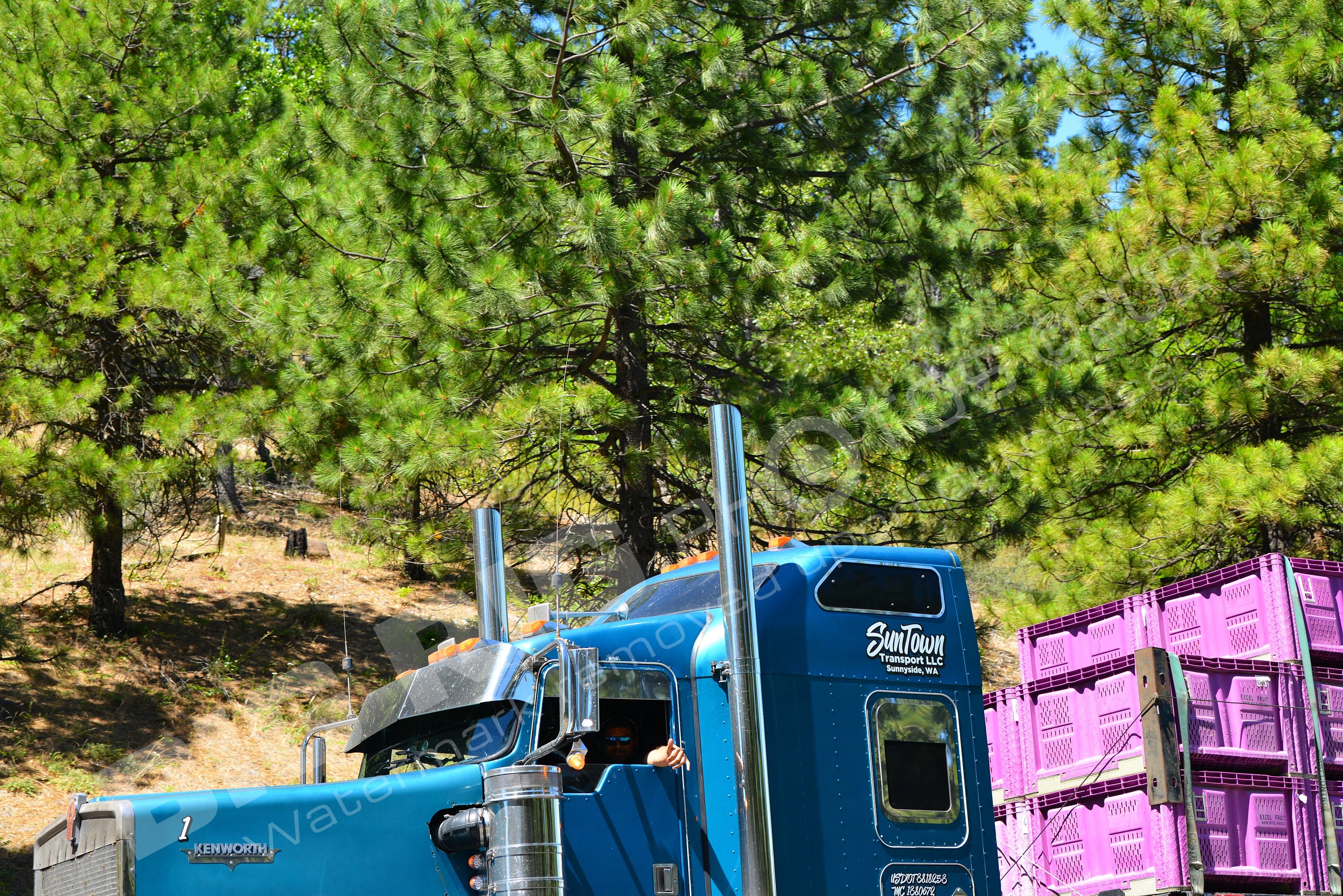 1, Agricult, BBB, SunTown Transport LLC, SunTown Transport LLC 1