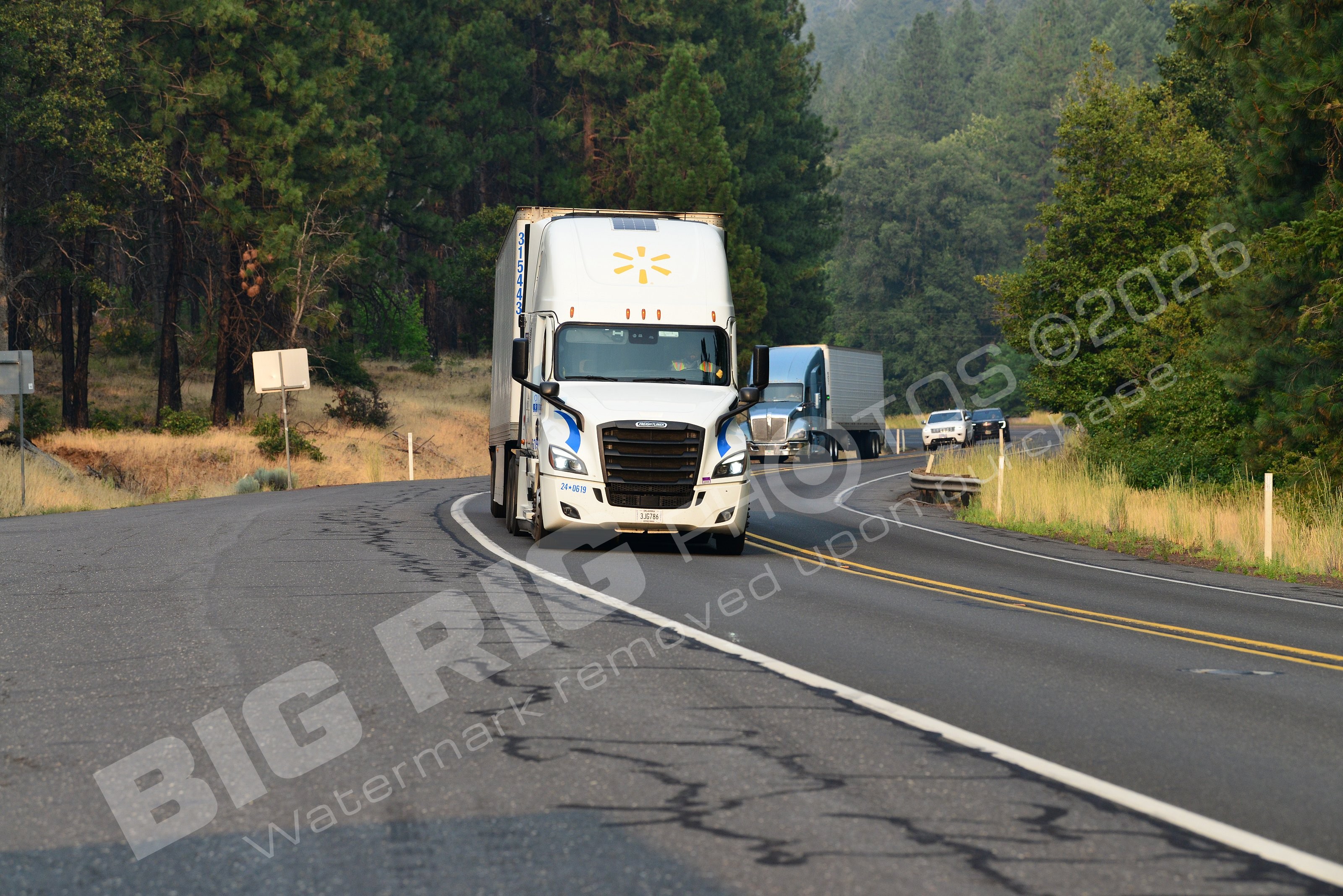 24-8619, 3jg786, BBF, Freightliner Tru, Walmart, Walmart 24-8619
