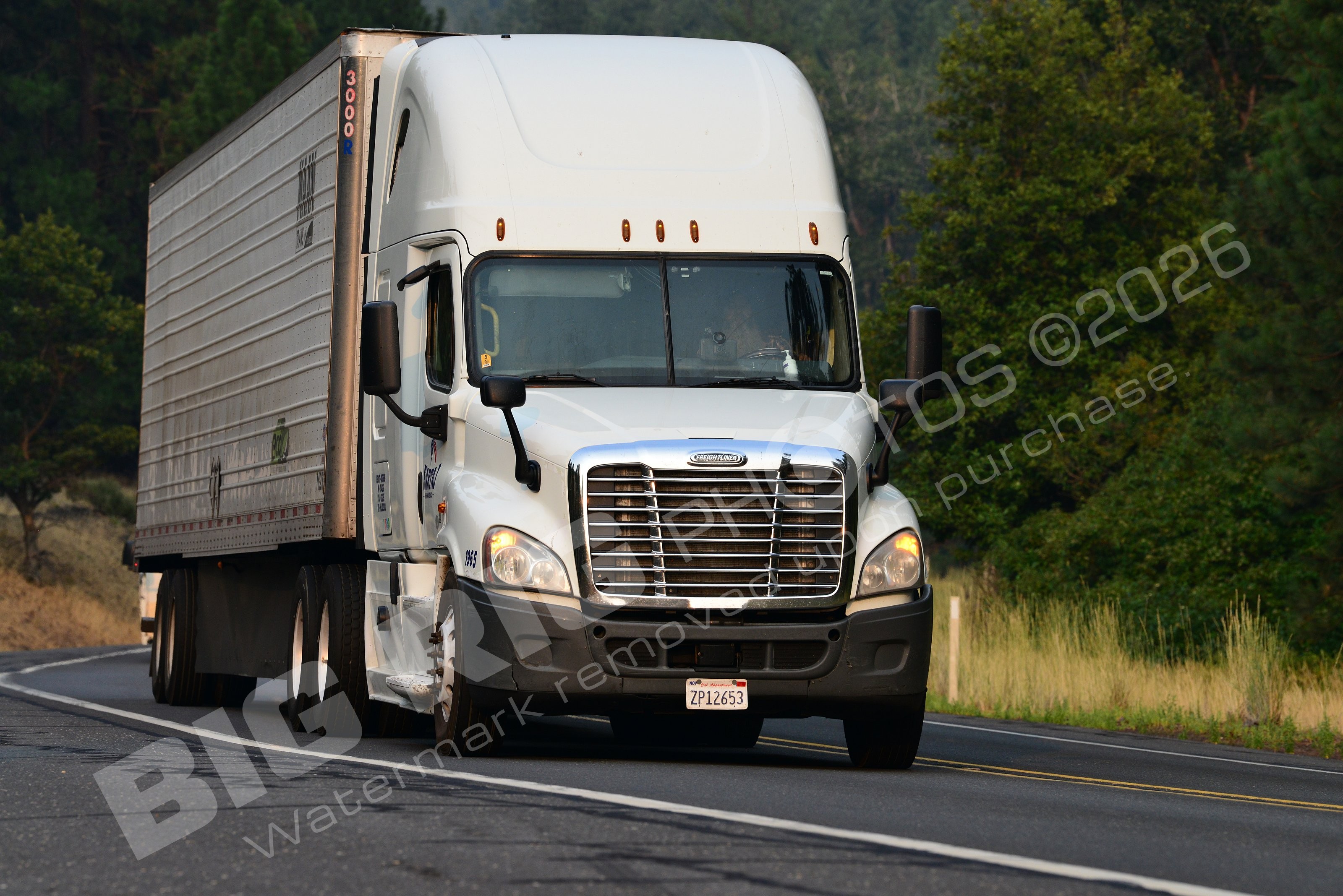 965, BBF, Dry Van, Freightliner Trucks, Reefer, zp12653