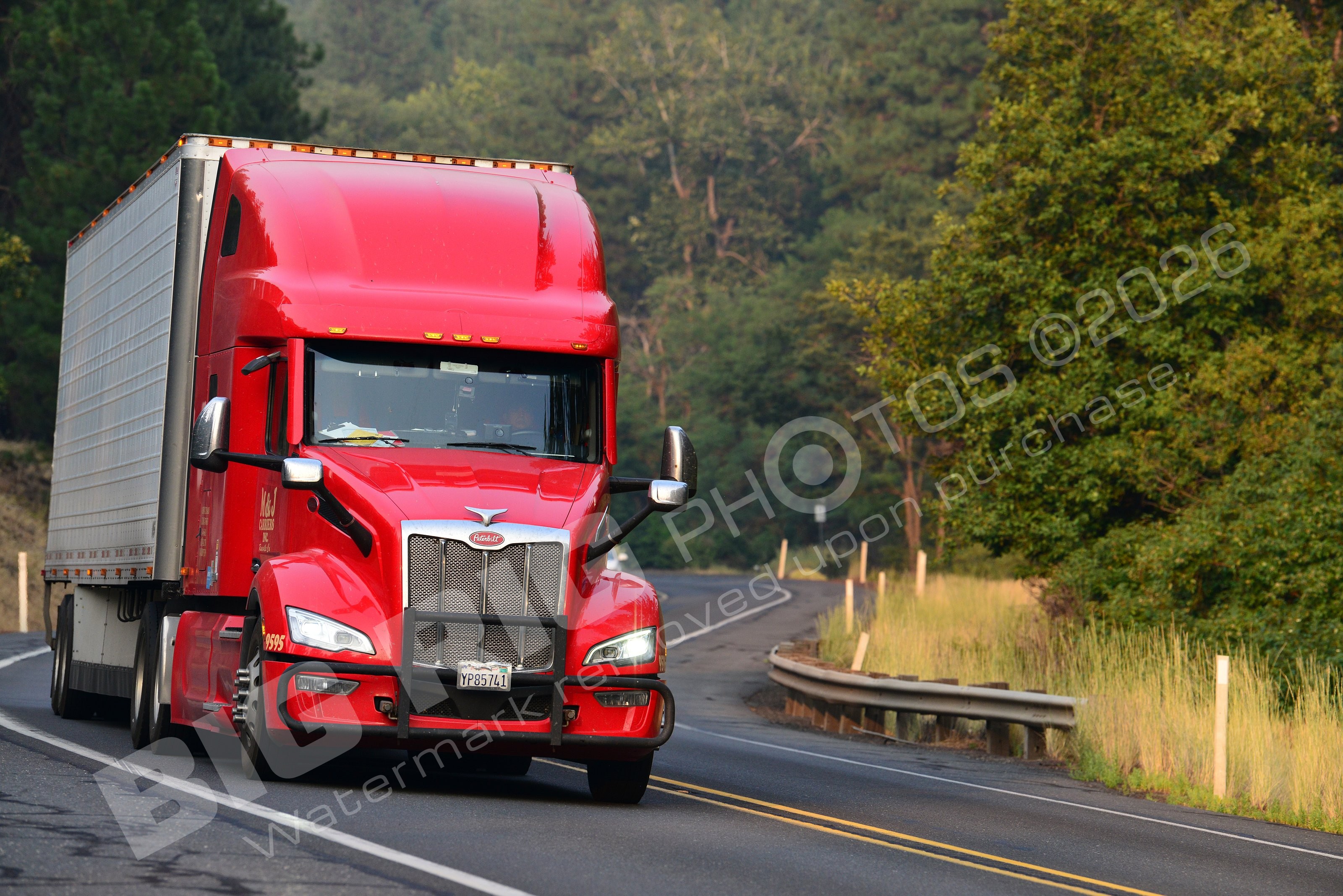 8955, BBF, Navistar International, Reefer, yp85741