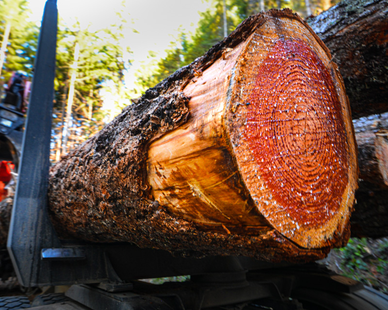 log, log truck, logging