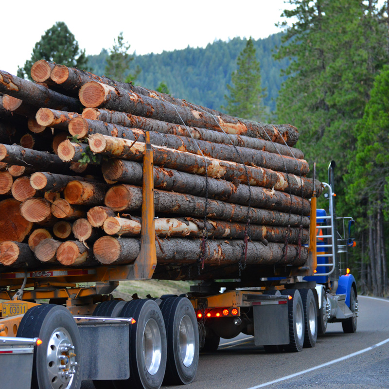 log truck, logging