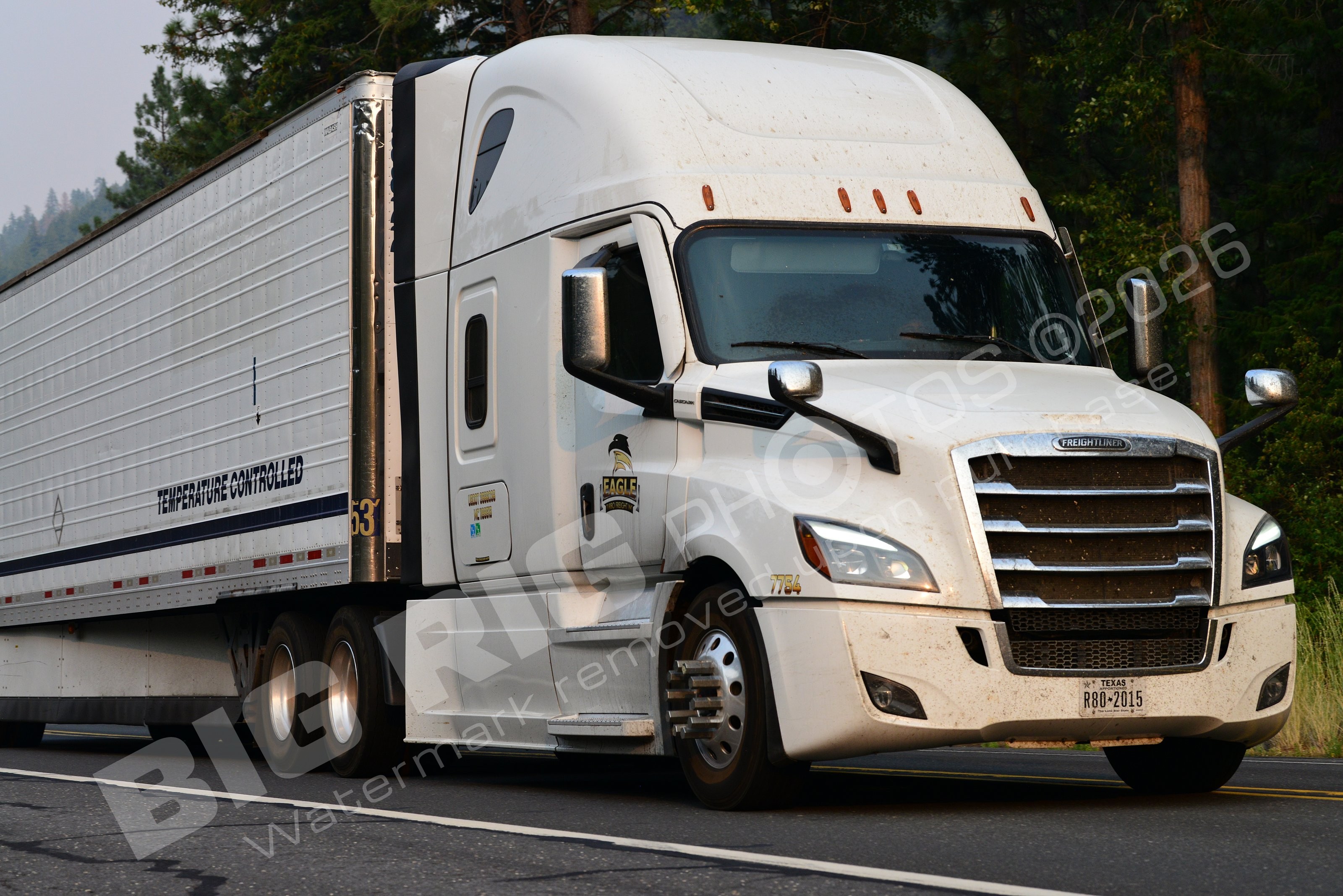7784, BBF, Eagle Transport, Eagle Transport 7784, Reefe, r802015
