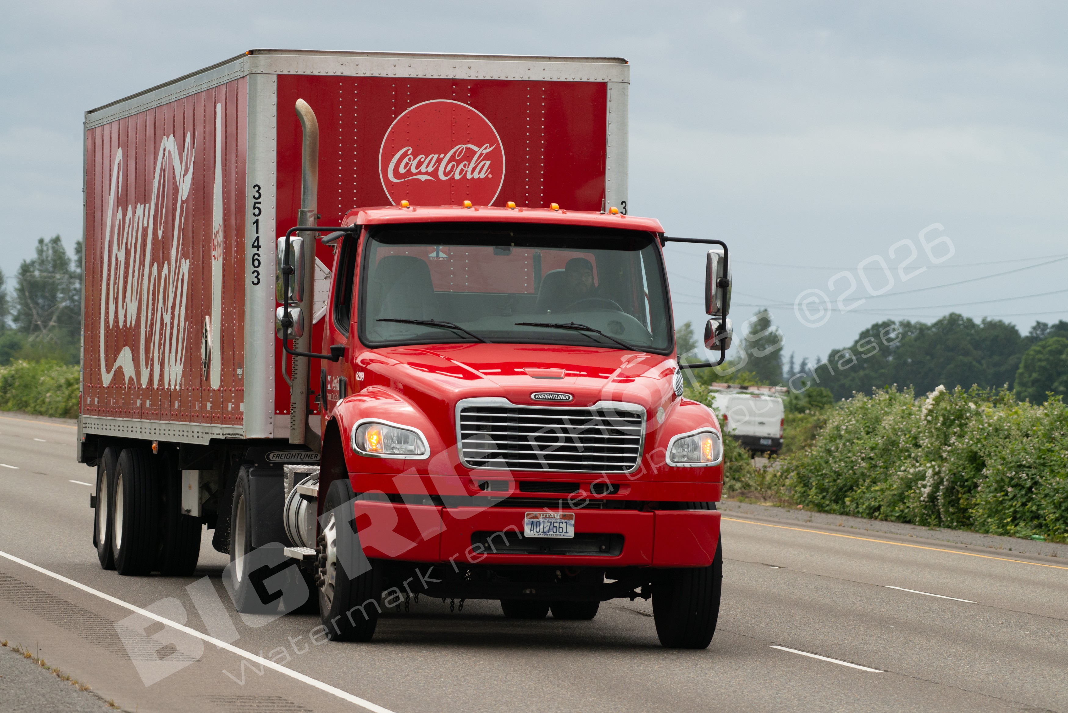 coca cola, coke