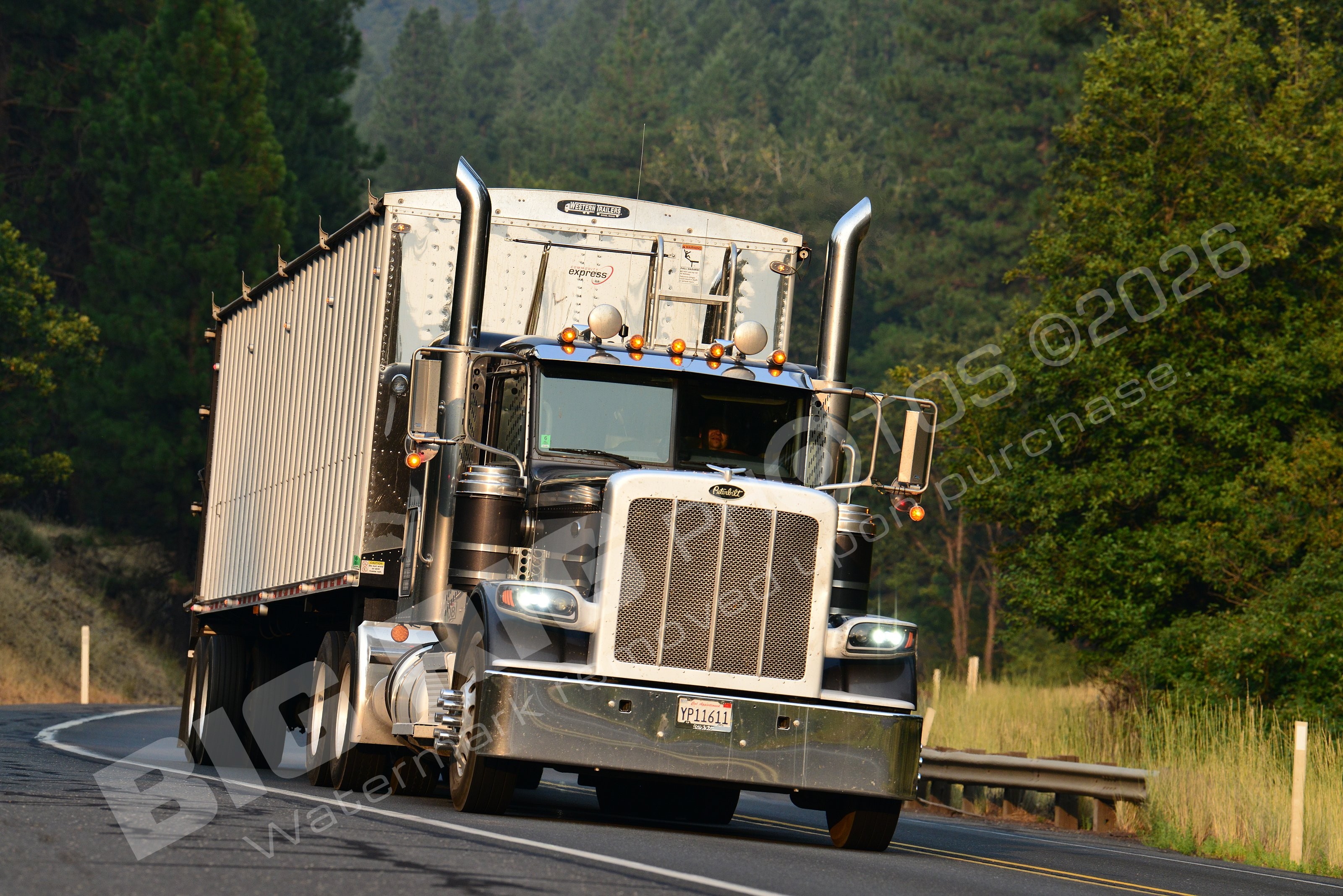 Agriculture, BBF, Dry Van, Logger, Peterbilt, yp11611