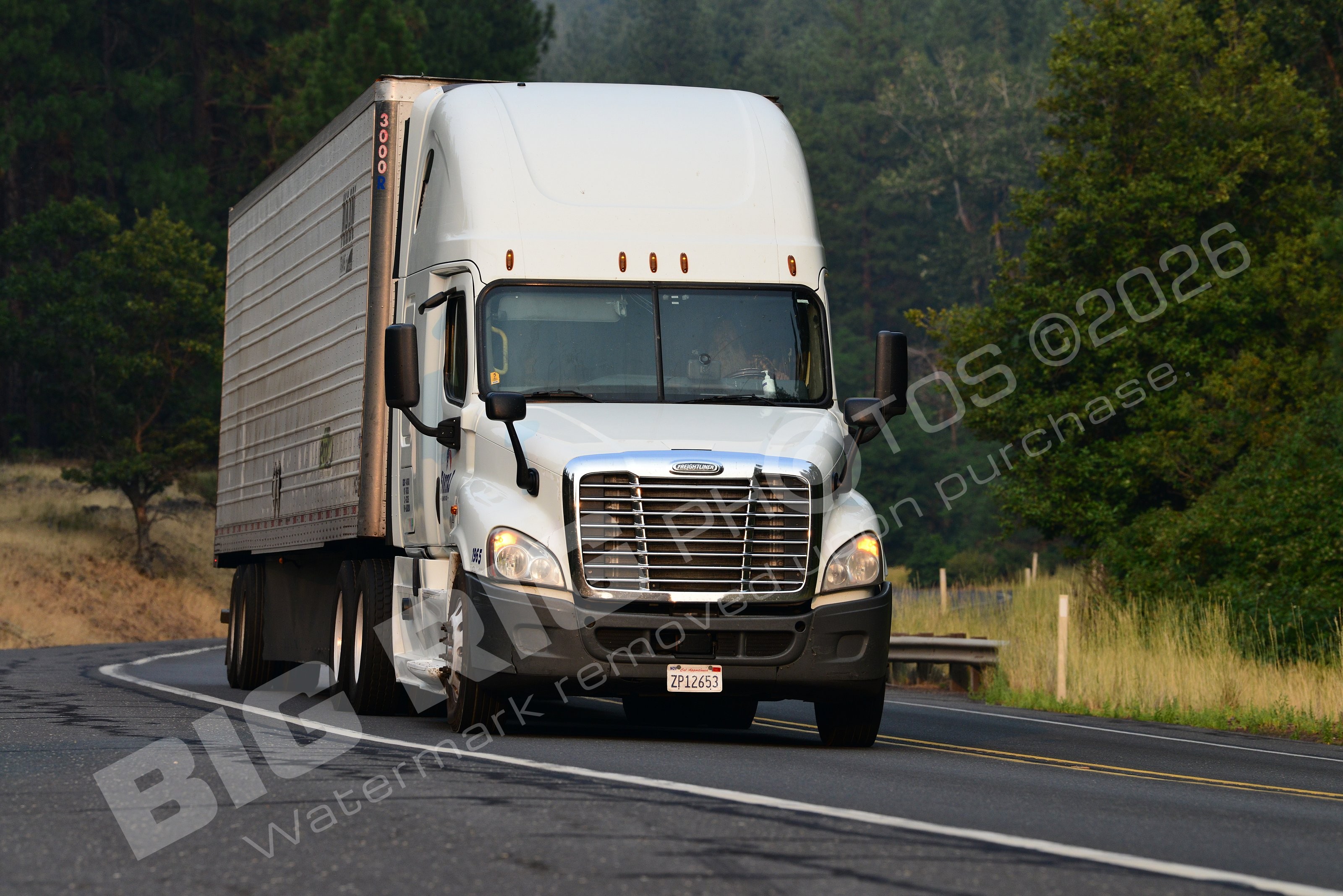 965, BBF, Dry Van, Freightliner Trucks, Reefer, zp12653